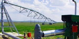 Como escolher um grupo eletrogéneo?