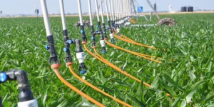 Irrigação gota a gota com Pivot