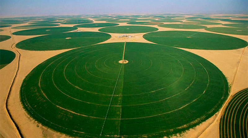 cultivar no deserto com Pivots