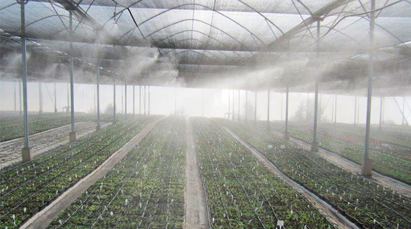 nebulizador para humidificar estufas