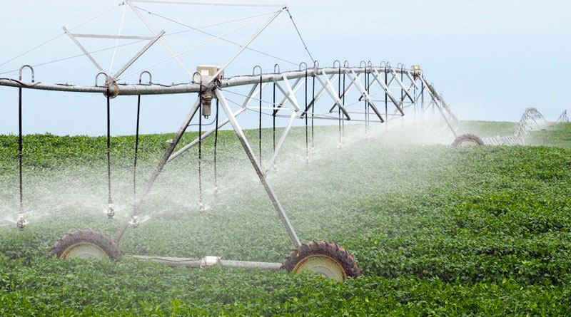produção agrícola