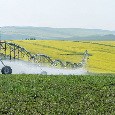 tubagem principal dos Pivots de rega
